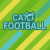 Cat Football img