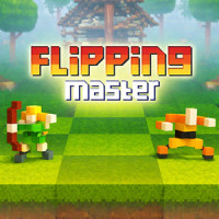 Flipping Master img