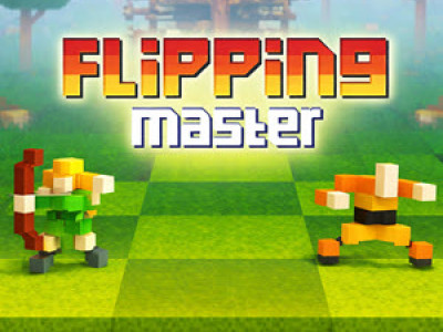 Flipping Master background